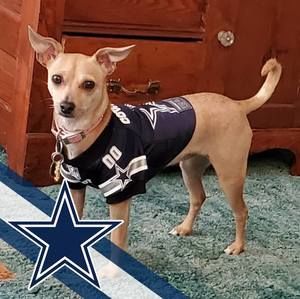 Meet your Posher, Jim